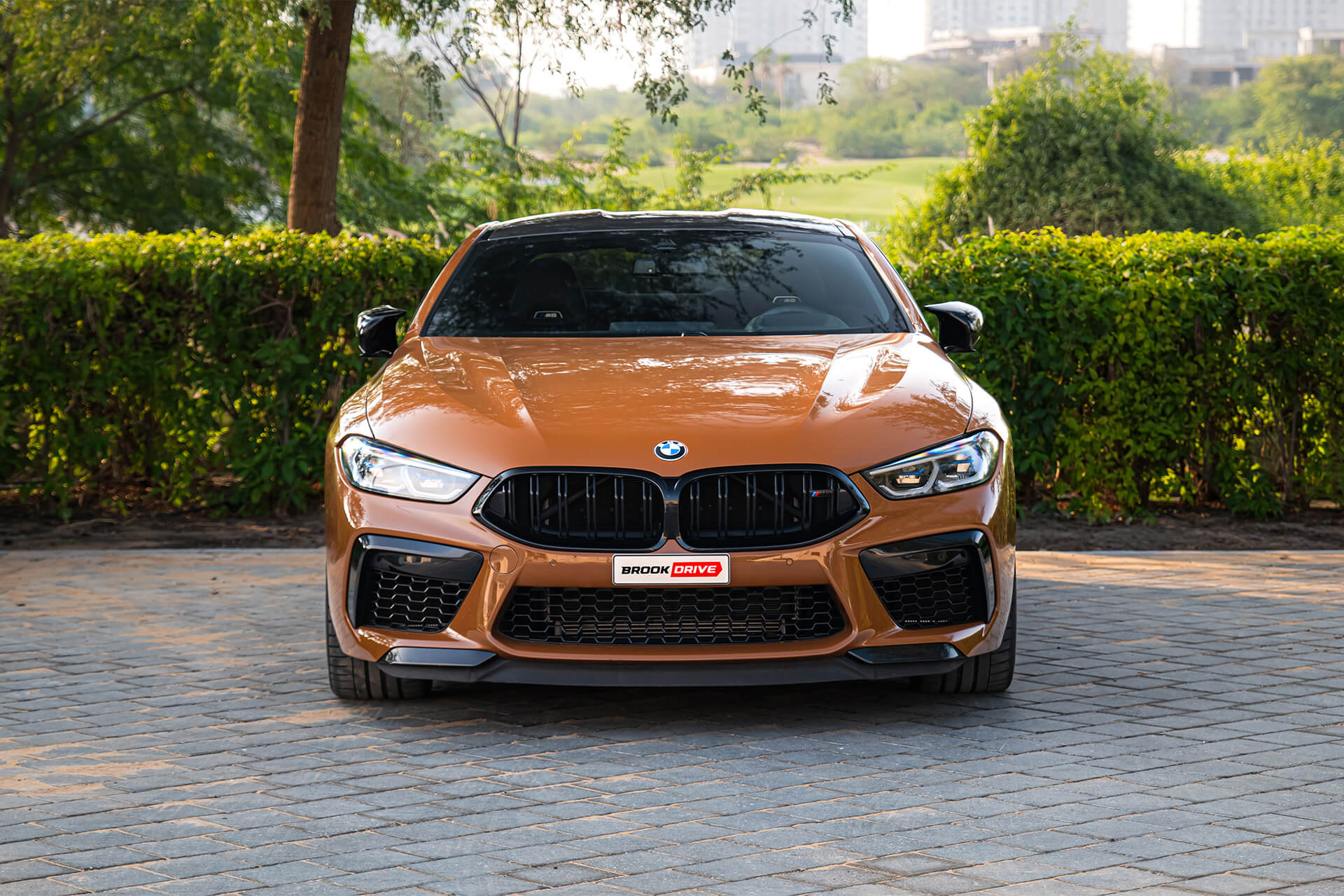 BMW M8 Competition Zanzibar Metallic